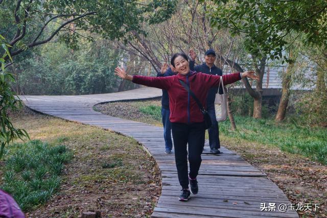 晨光与深呼吸：在同里湿地公园的万步悠然