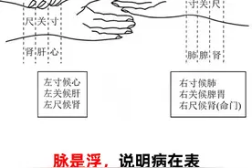 能摸到脉 不知道是啥病?中医最全把脉教程 新手也能懂！图片