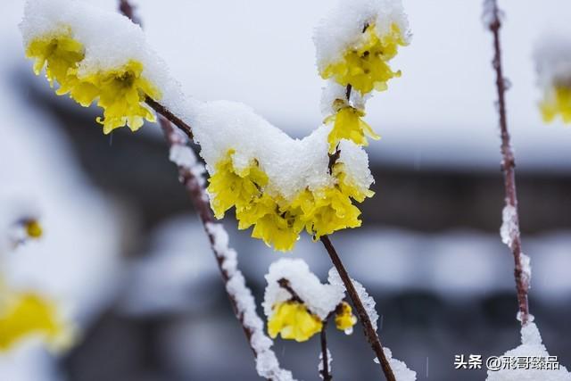 穷游，为何成为时代新宠