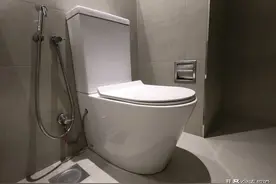 2024年马桶十大品牌榜单揭晓！东鹏第7，科勒第5，第3名来自唐山图片