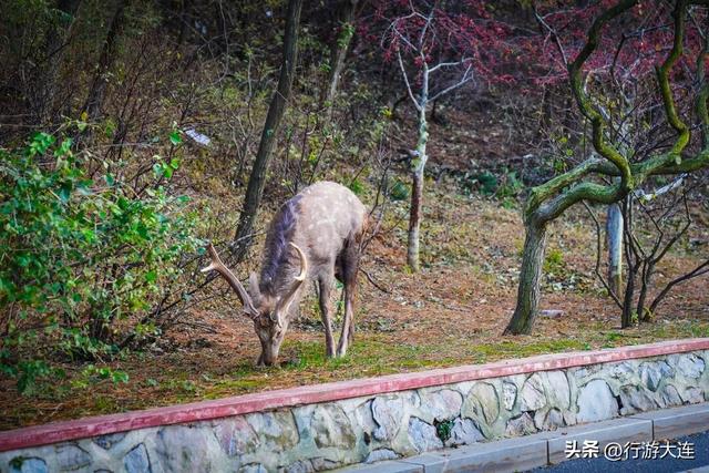 秋色有多惊喜？来白云雁水走一走~
