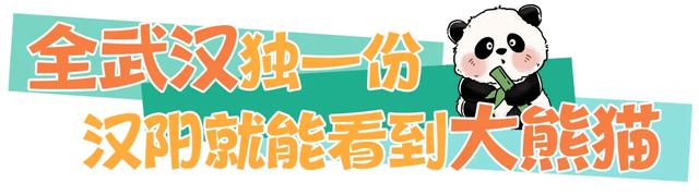 逛展后玩独一份!汉阳4个“武汉唯一”必冲