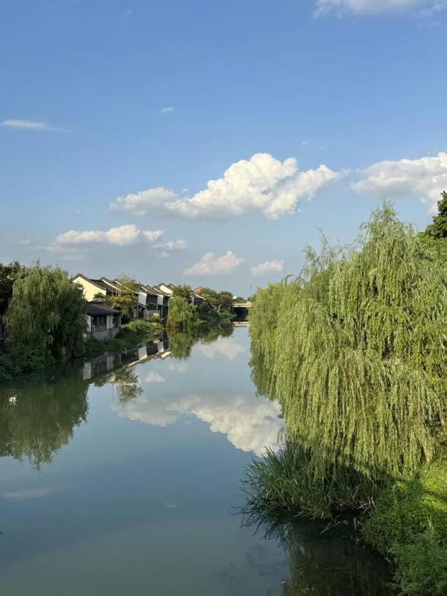 iPhone 15ȫϵ��Ȳ����������ֵ��ֵ�ã�