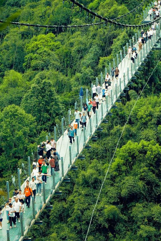 在竹尖上飞行！全网最全尖叫玩法攻略！