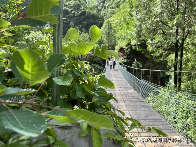 西安人的夏日消暑指南,黑河的清凉山水比空调更治愈→