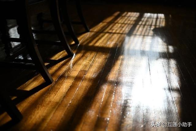 轻松尽享柔和虚化佳作!尼康「NIKKOR Z 35mm f/1.4」评测