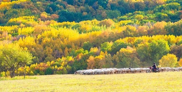 不甘心只做北京的“后花园”，承德和张家口的出路在哪里？