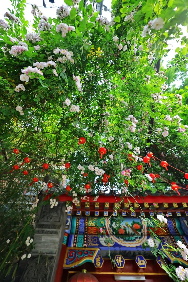 看东城,一路繁花,四季幻彩!