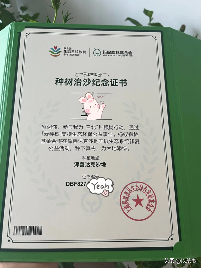 9年过去了，承诺每年在沙漠里种1亿棵树的马云，如今他做到了吗？