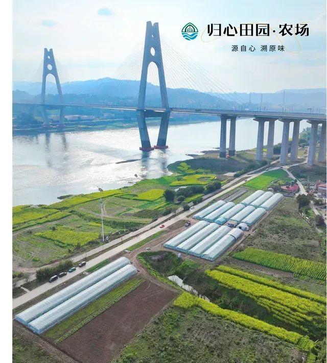 「宜宾必去的100个地方」最新榜单出炉！第5期报名启动！