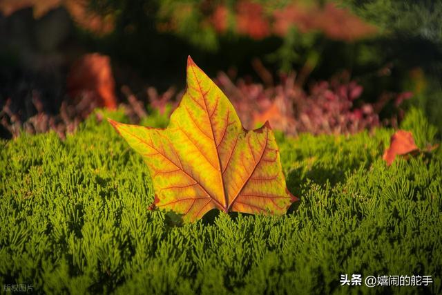 北京人刚从河北青县回来	，忍不住想说：对青县的 5点感想