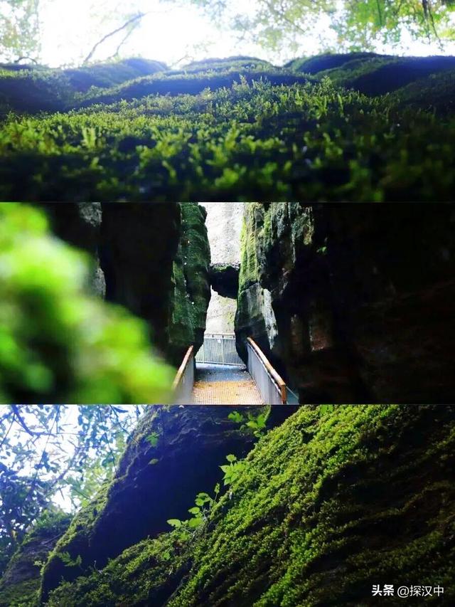 春有繁花夏有凉，秋染山林冬有霜 —— 草川子景区