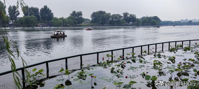 什刹海，何以成为北京最有京味儿的湖