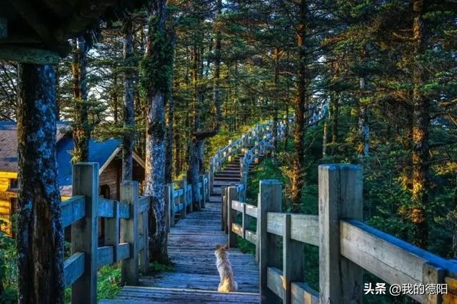 德阳马上放秋假了！走去耍！川内多个景区免门票