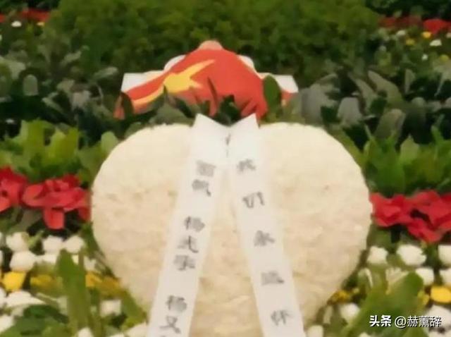 已证实杨振宁长子去世，看49岁翁帆现在做的事 才知道我们误会她了