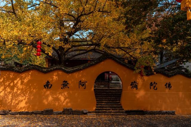 浙江深秋封神路线！红叶、银杏、古寺藏禅，承包江南最绝秋景！
