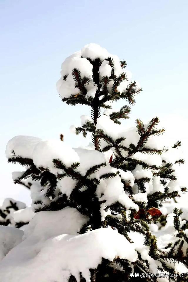 雪落东乡，把冬天写成了诗