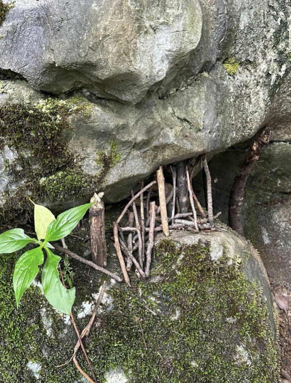 在南方的很多山区，为何总能见到大石头被小木棍撑着？有啥说法吗