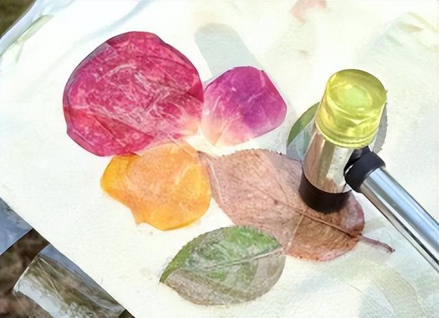 青春集结！这场才艺盛宴 + 露营狂欢，周末邀你嗨玩不停～