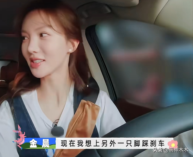 金晨肇事逃逸风波升级！面临行政拘留处罚，多部待播剧恐受影响