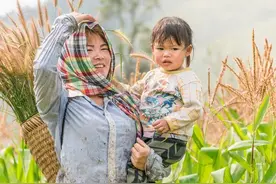 五个婶婶能干持家，唯有三婶扶不上台面，却是最幸福，打一手好牌图片