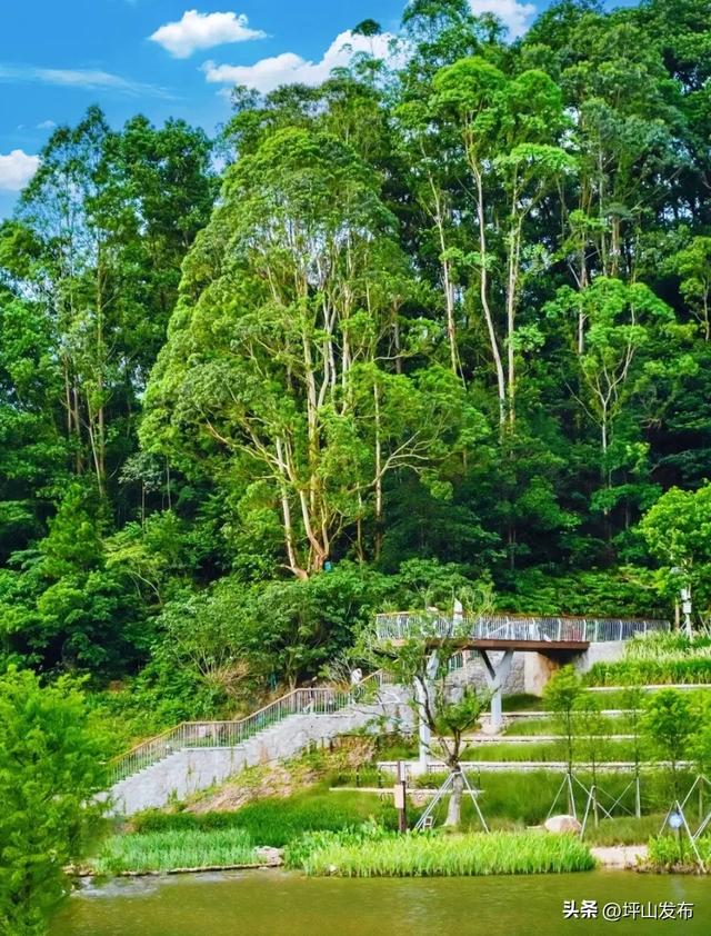 假期不必远走,来深圳坪山开启你的限定版“环球”旅行 | 美美Holiday②