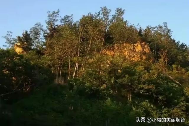 这个地方曾无人问津，如今却成烟台人最爱！周边将有多个新规划