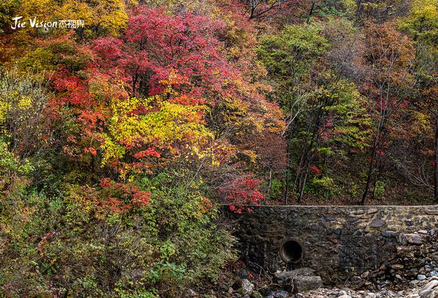 辽宁五女山秋景藏彩蛋！雾中五女山，红叶未满，意境已绝！