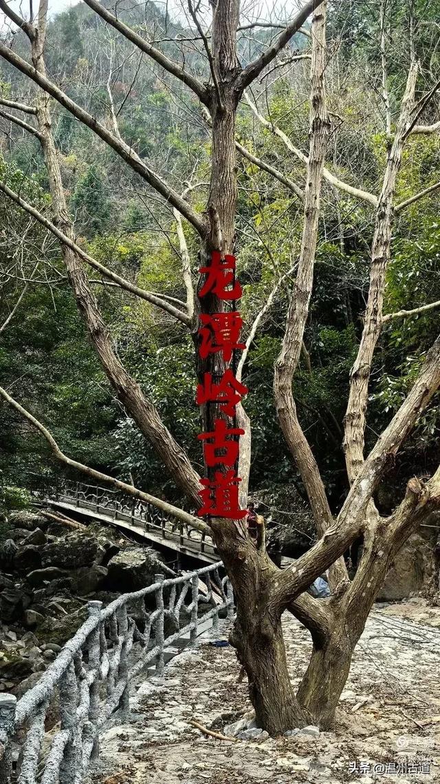 不是电影红河谷，是位于浙中川藏线的红河谷，值得你去探秘！