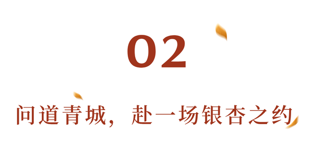 美疯！我就说初冬的都江堰有真东西！