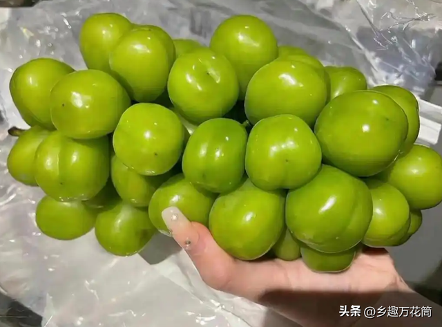 为啥吃阳光玫瑰的人越来越少？四个原因劝退顾客，了解后也不愿买