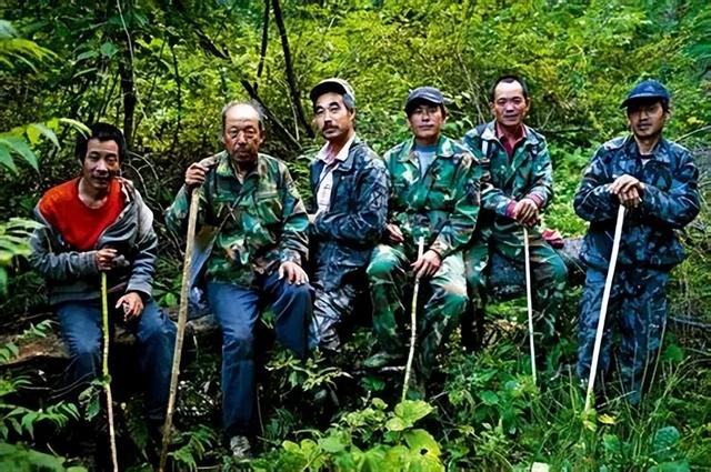 不会演就别演了，目光呆滞，撅嘴瞪眼，胡军，李乃文再强也带不动