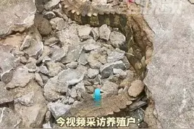 近10只鳄鱼出逃钻地躲藏村民砸地挖出图片