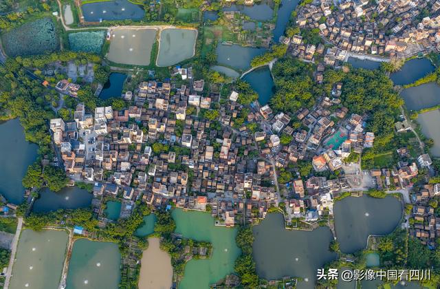 广东鹤山：古劳水乡风光旖旎