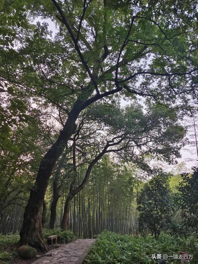 苏州虎丘打造夜游庙会迎双节，闭园时间延长到晚上九点
