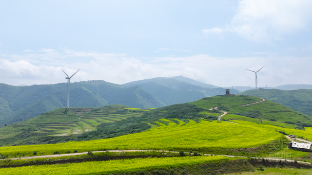 灵丘县柳科乡荞麦川村：油菜花盛开 赏花正当时