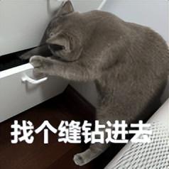 千万 “ 私密聊天 ” 被公开，这瓜有点大啊！