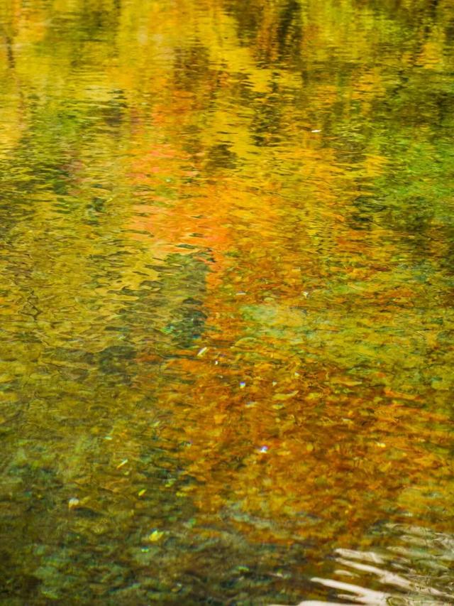 松坪沟彩林已“封神”！泡暖泉、赏非遗打铁花，这波三重盛宴错过等一年！