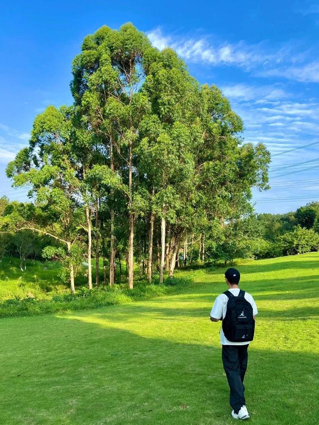 又有景区“升咖”了