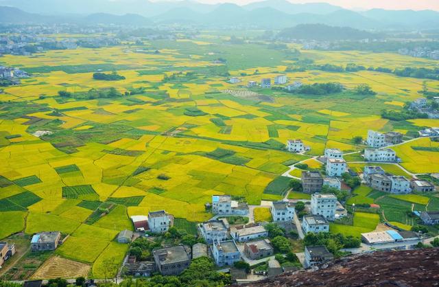 厉害了！广西这5个县即将代表中国走向世界！快看有没有你老家