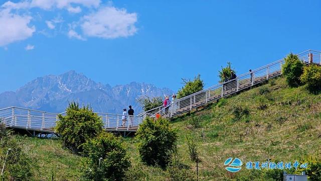 逃离热浪！临夏这几处避暑地，承包你的夏日清凉~