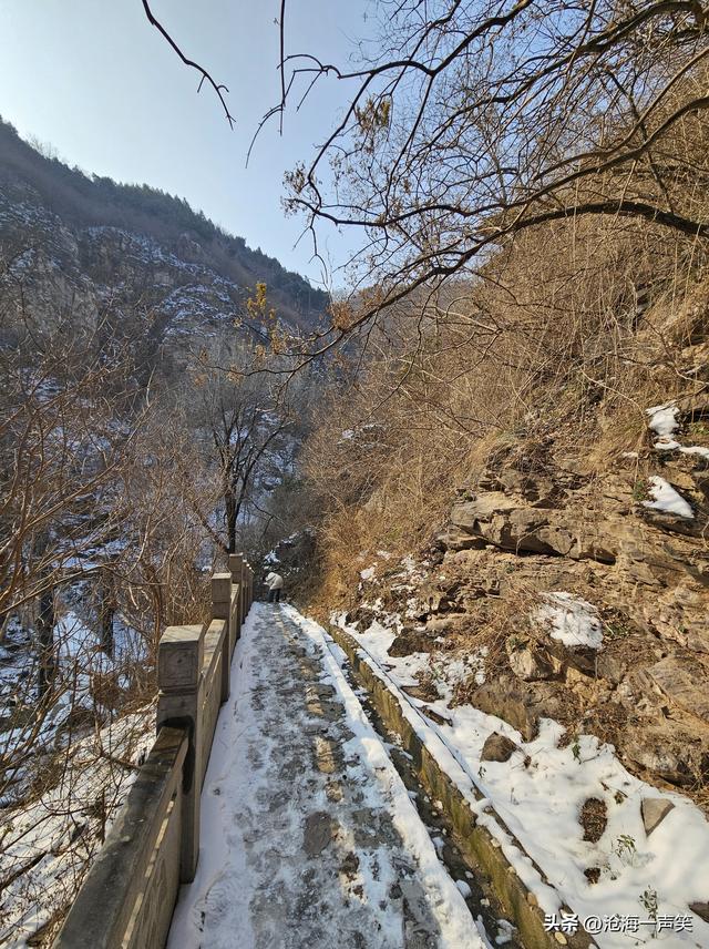 大山深处，风光无限，雪花飞舞，树枝飘舞，寒风瑟瑟，天空湛蓝…