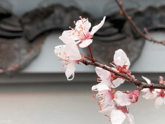 看到壮美景色，他并不觉得兴奋