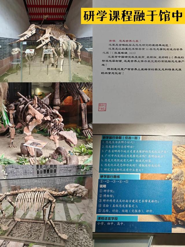 对接会成效 丨 金山地质博物馆五十载厚积薄发，聚力打造博物馆集群