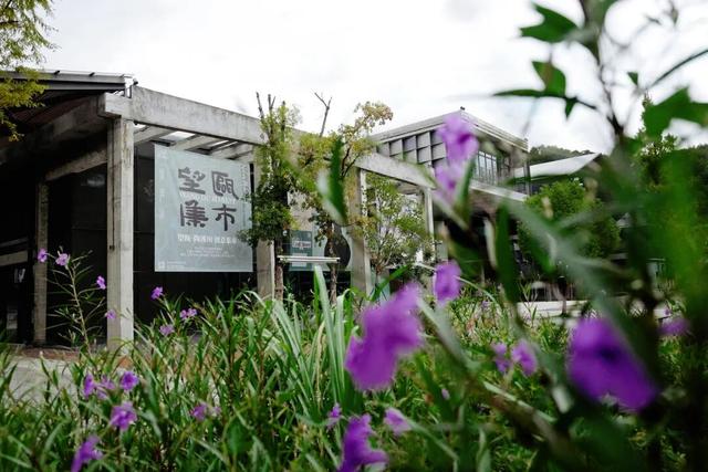 找到了浙江版“大鱼海棠”，人少景美饭好吃！