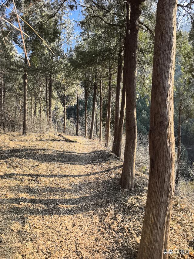 马蹄峪、白云泉、扁石山、雪山徒步小环线