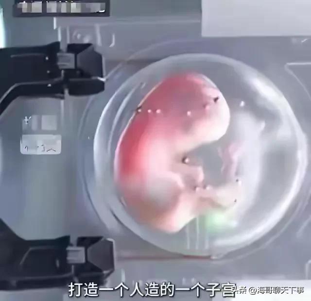 新加坡惊爆“机器人生娃”，是科技飞跃还是伦理灾难？