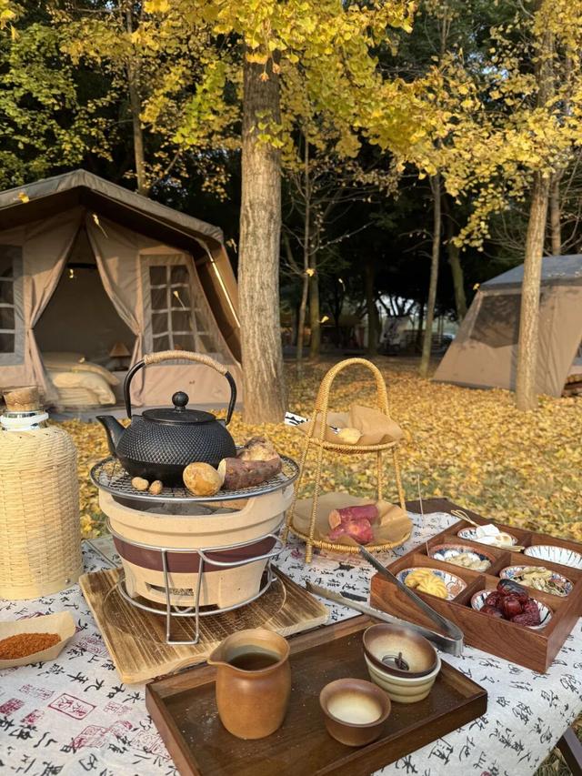 探秘新场景丨你来过吗？藏在新津的“美学”露营地