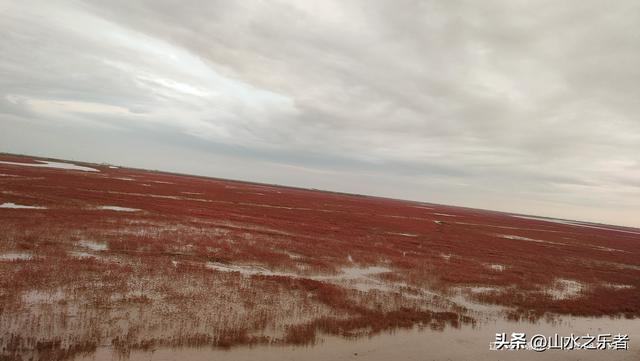 环游大东北之漫步锦州凌海红海滩