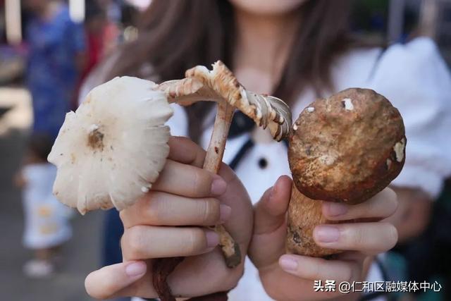 燃情火把·多彩仁和丨仁和火把节怎么玩？最全玩“火”攻略来啦！